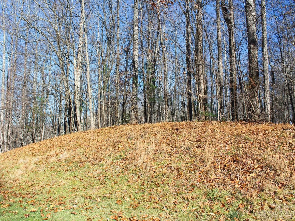 MLS #CAR4089121 image #6