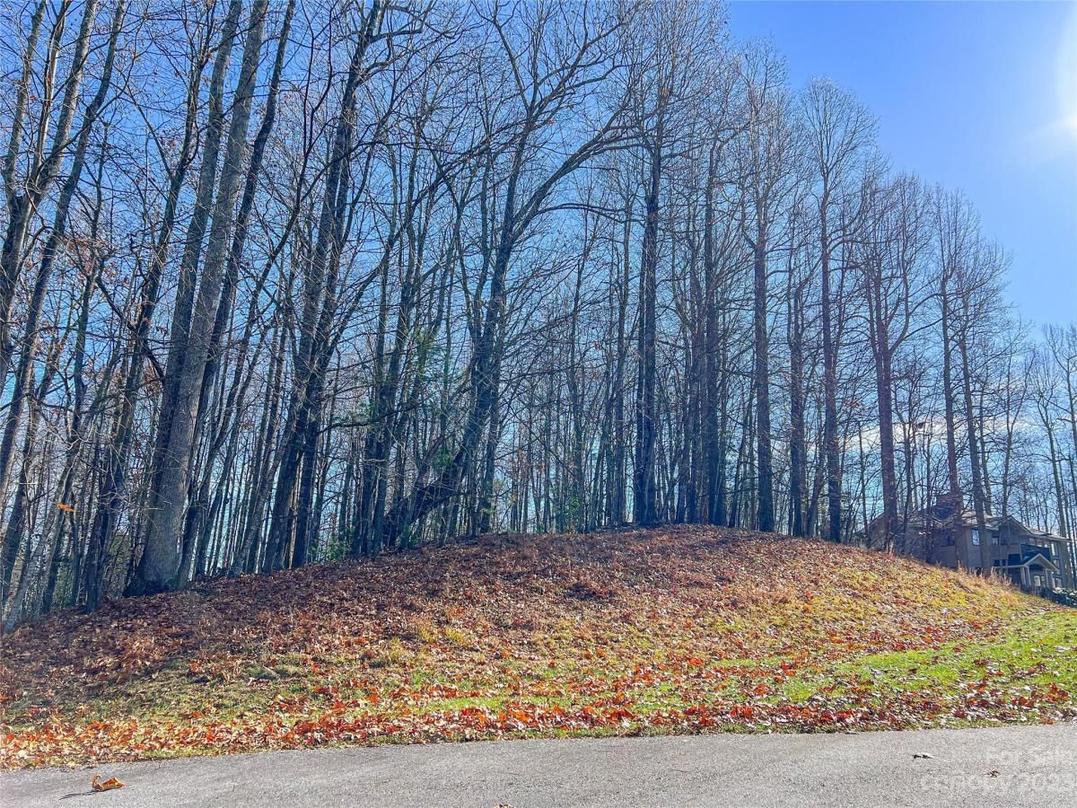 MLS #CAR4089121 image #7