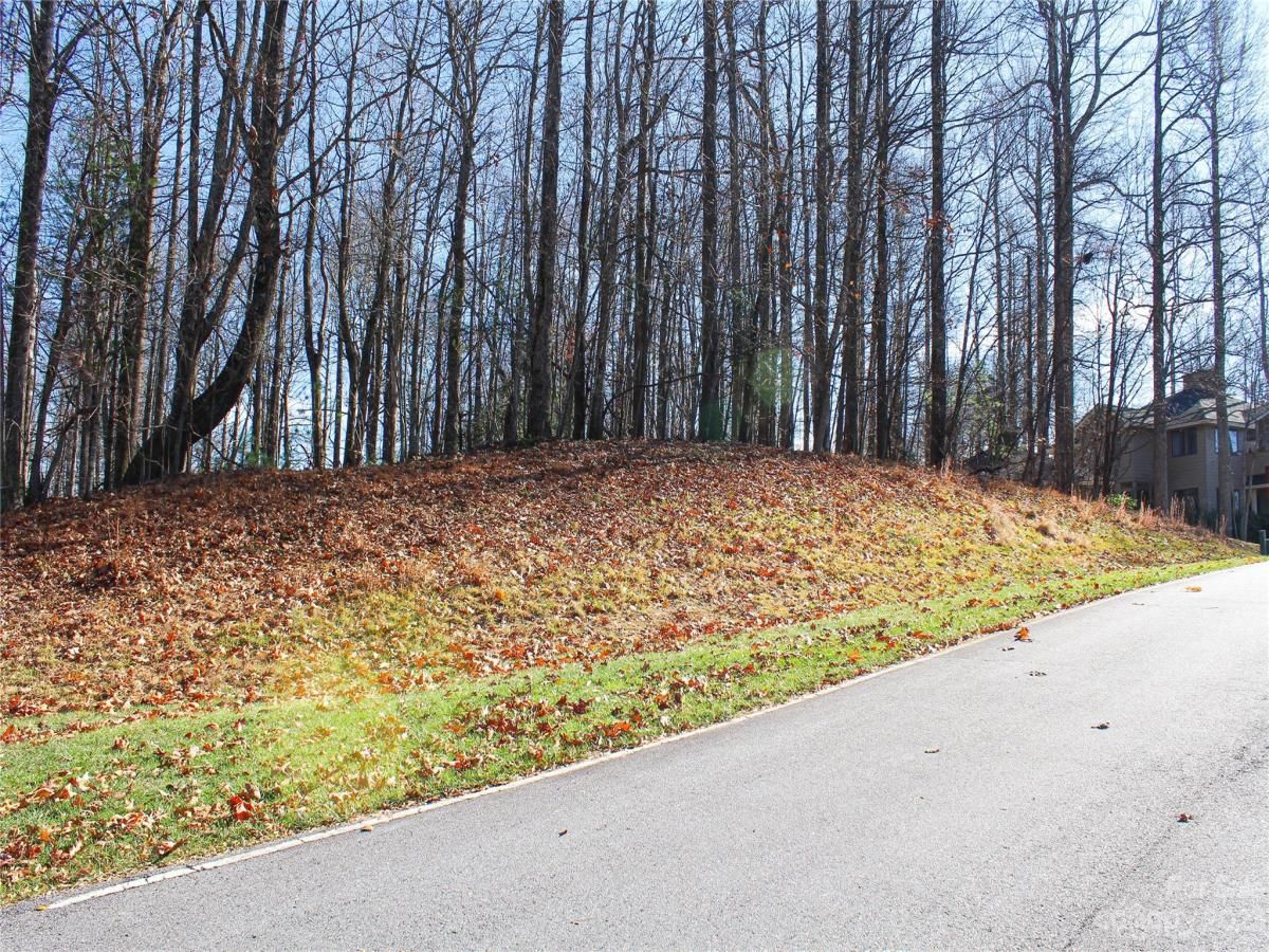 MLS #CAR4089121 image #8