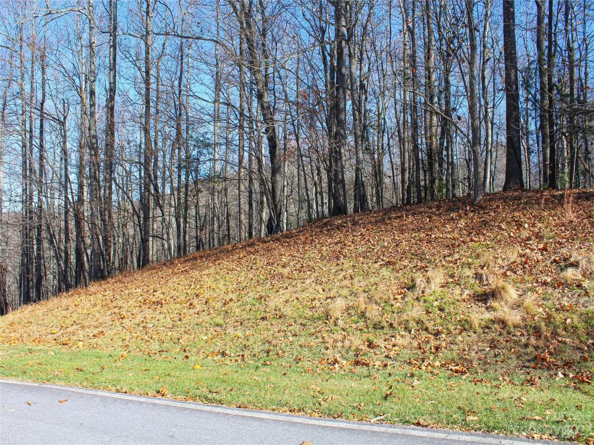 MLS #CAR4089121 image #9