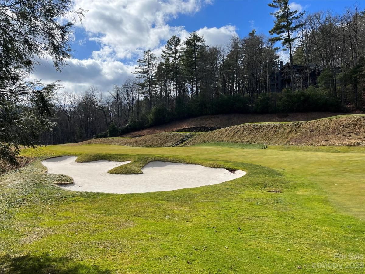 MLS #CAR4089640 image #12