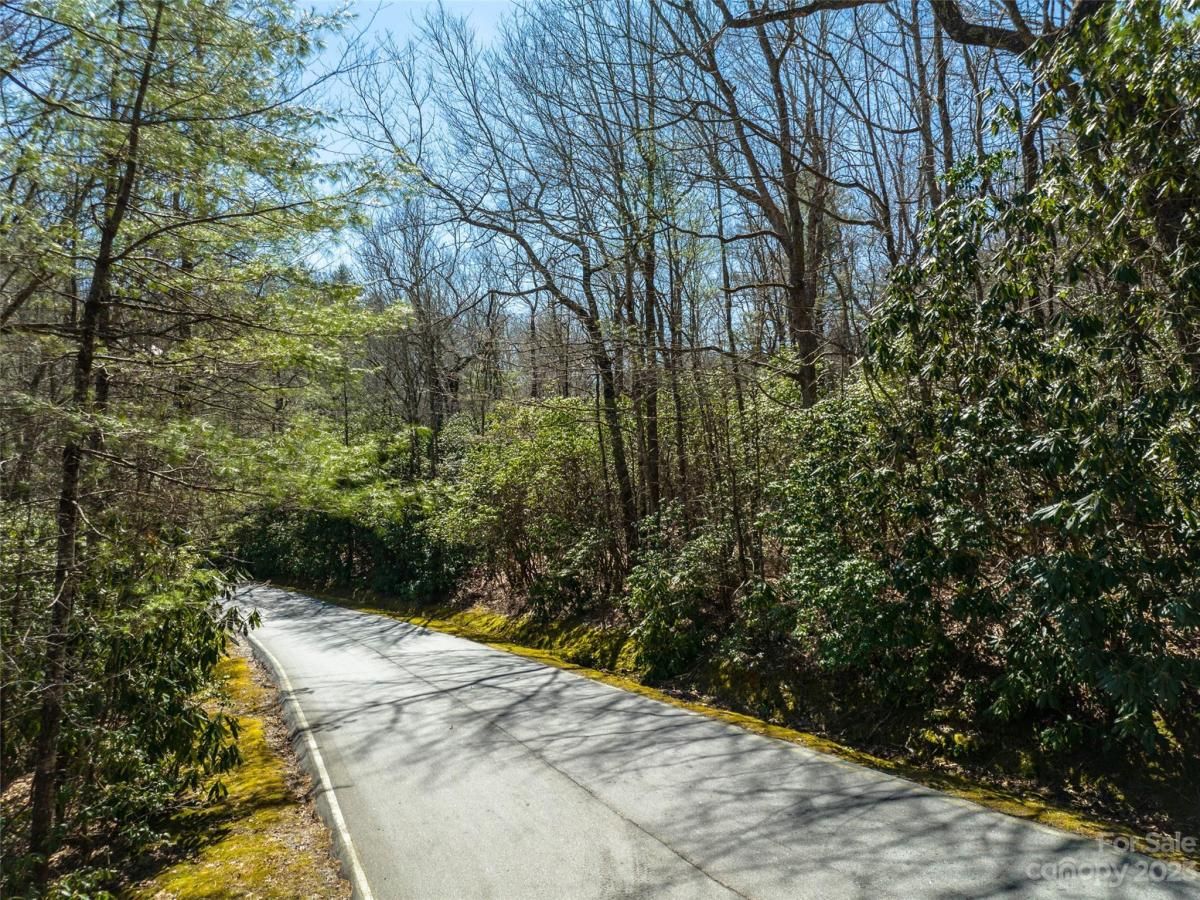 MLS #CAR4089640 image #3