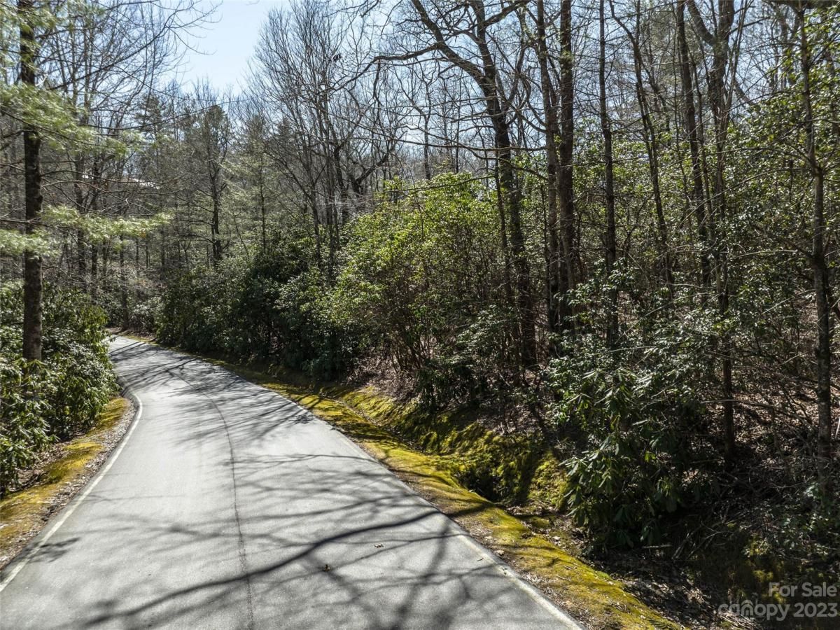 MLS #CAR4089640 image #4