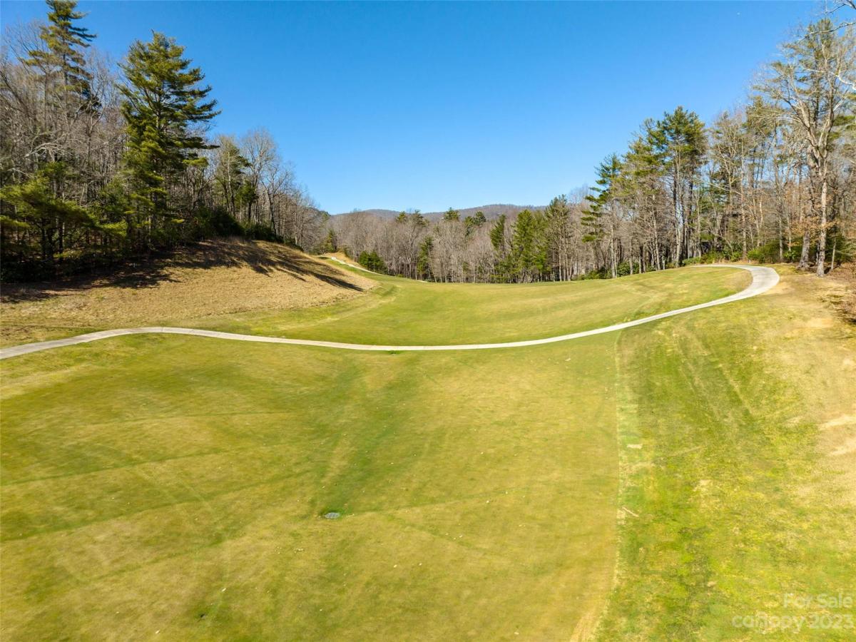 MLS #CAR4089640 image #8