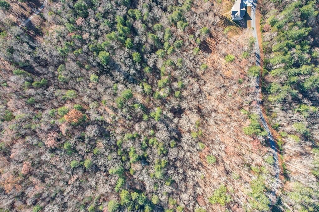 MLS #CAR4089846 image #10