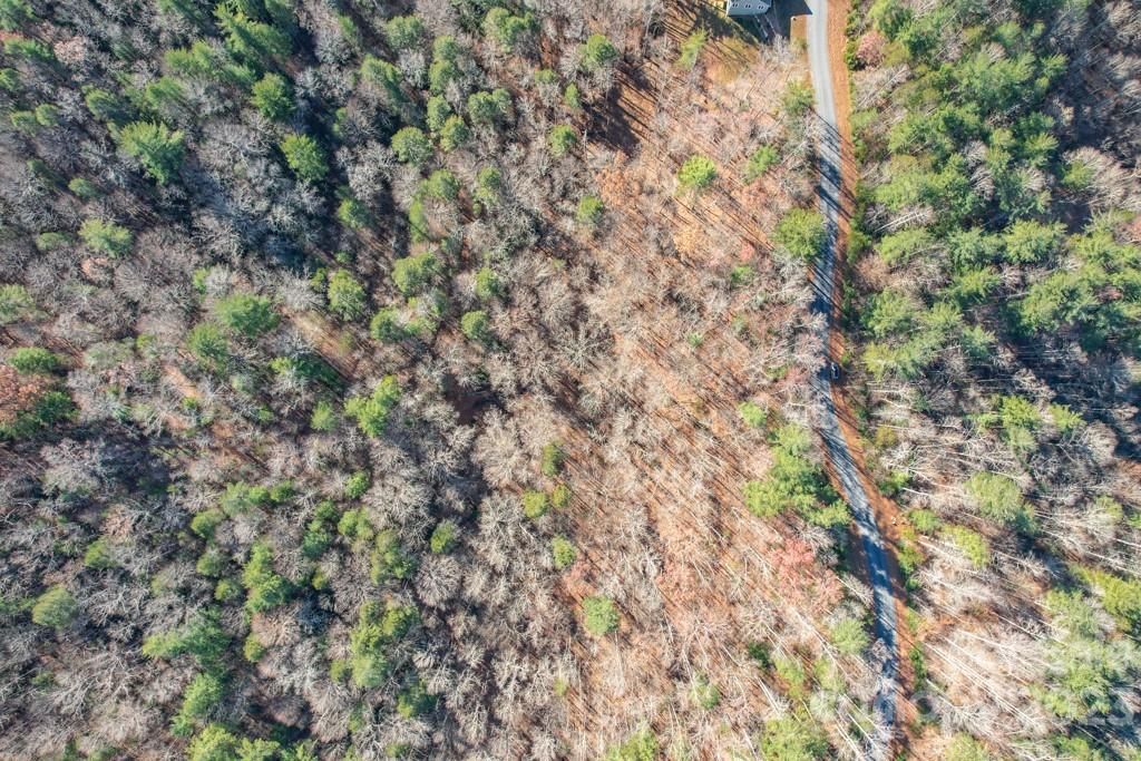 MLS #CAR4089846 image #11