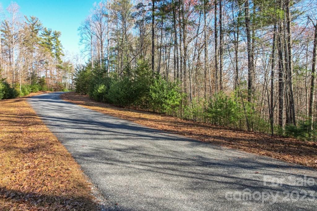 MLS #CAR4089846 image #2