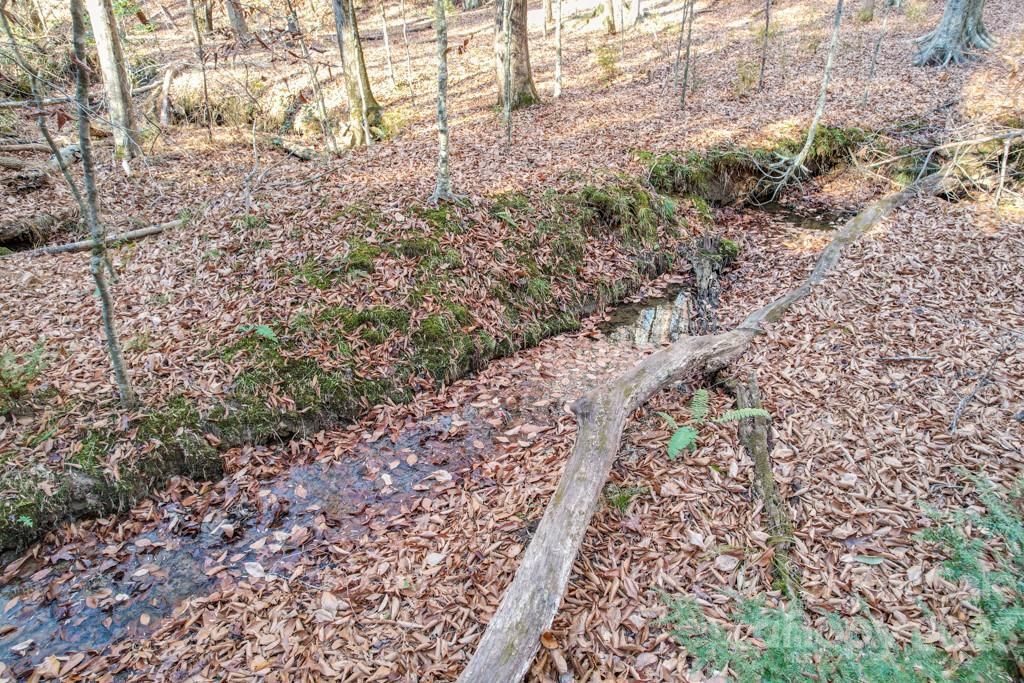 MLS #CAR4089846 image #20