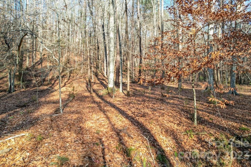 MLS #CAR4089846 image #3