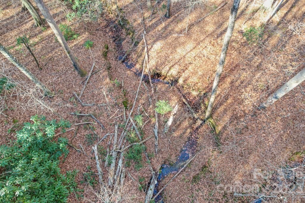 MLS #CAR4089846 image #4