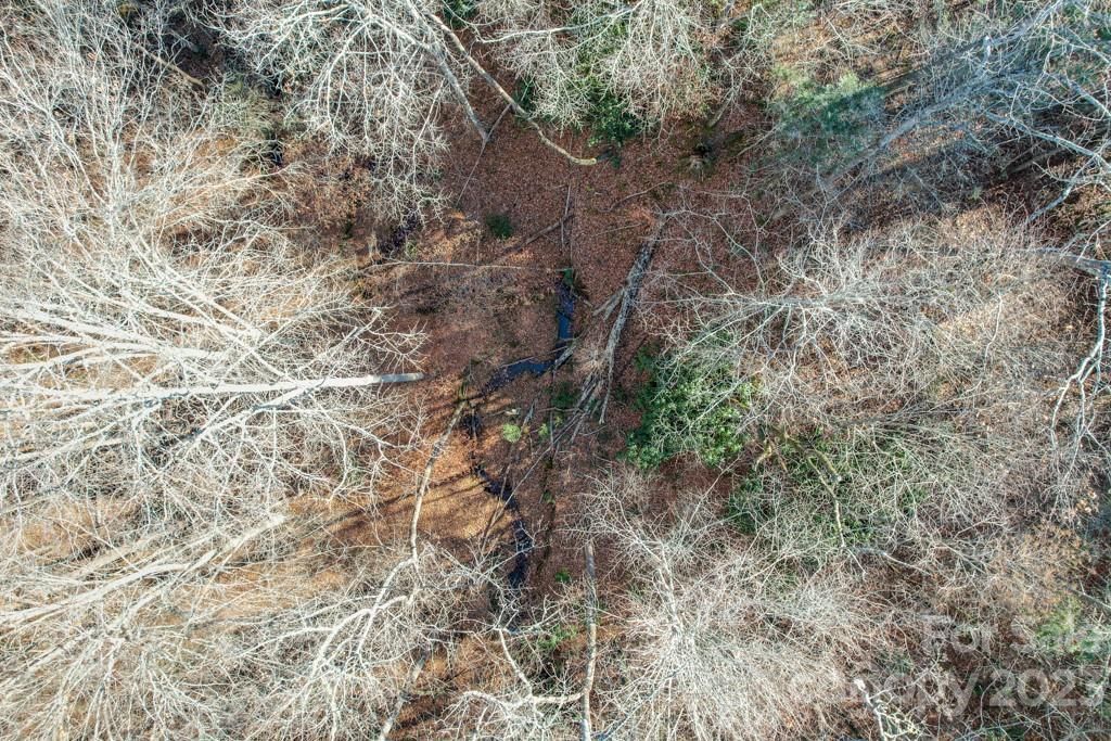 MLS #CAR4089846 image #5