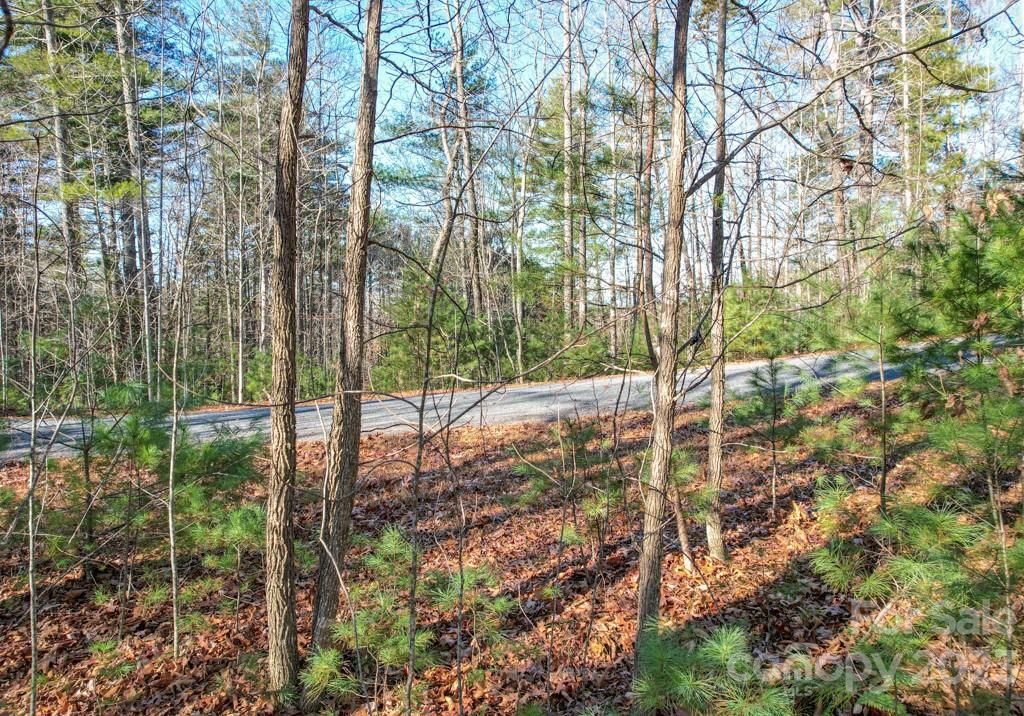 MLS #CAR4089846 image #6