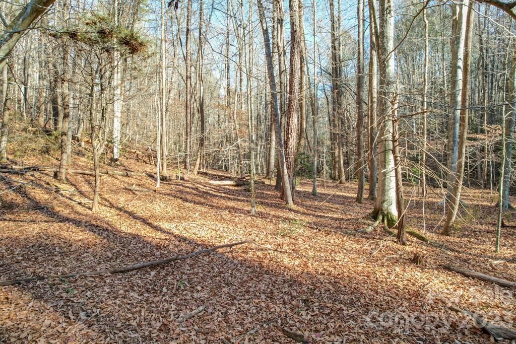 MLS #CAR4089846 image #7