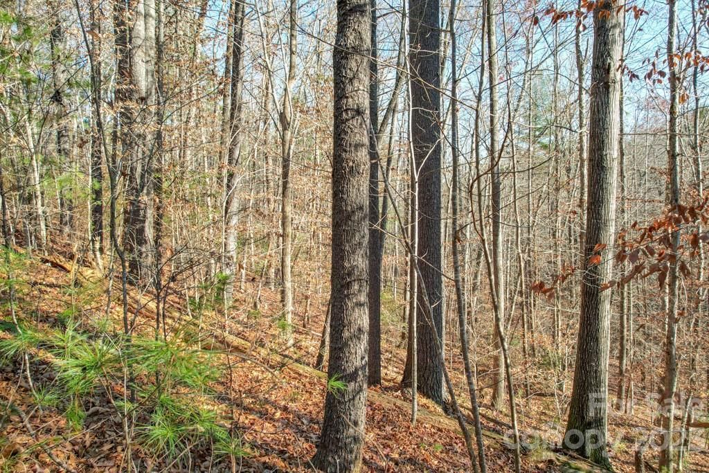 MLS #CAR4089846 image #8