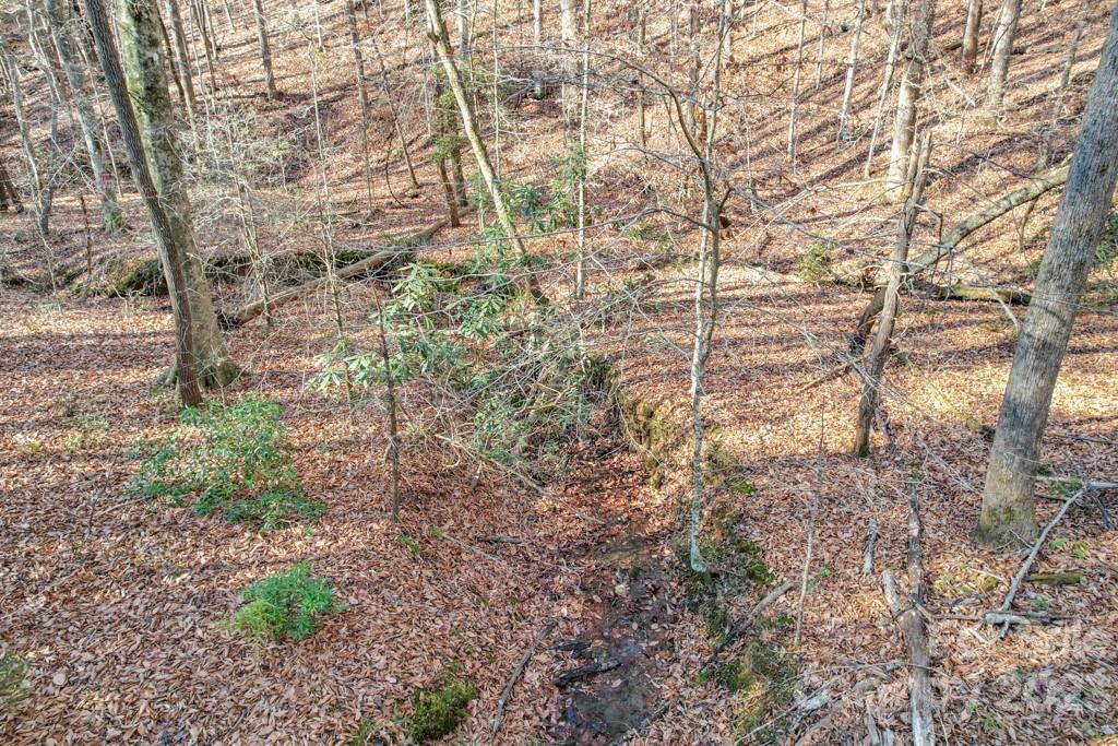 MLS #CAR4089846 image #9