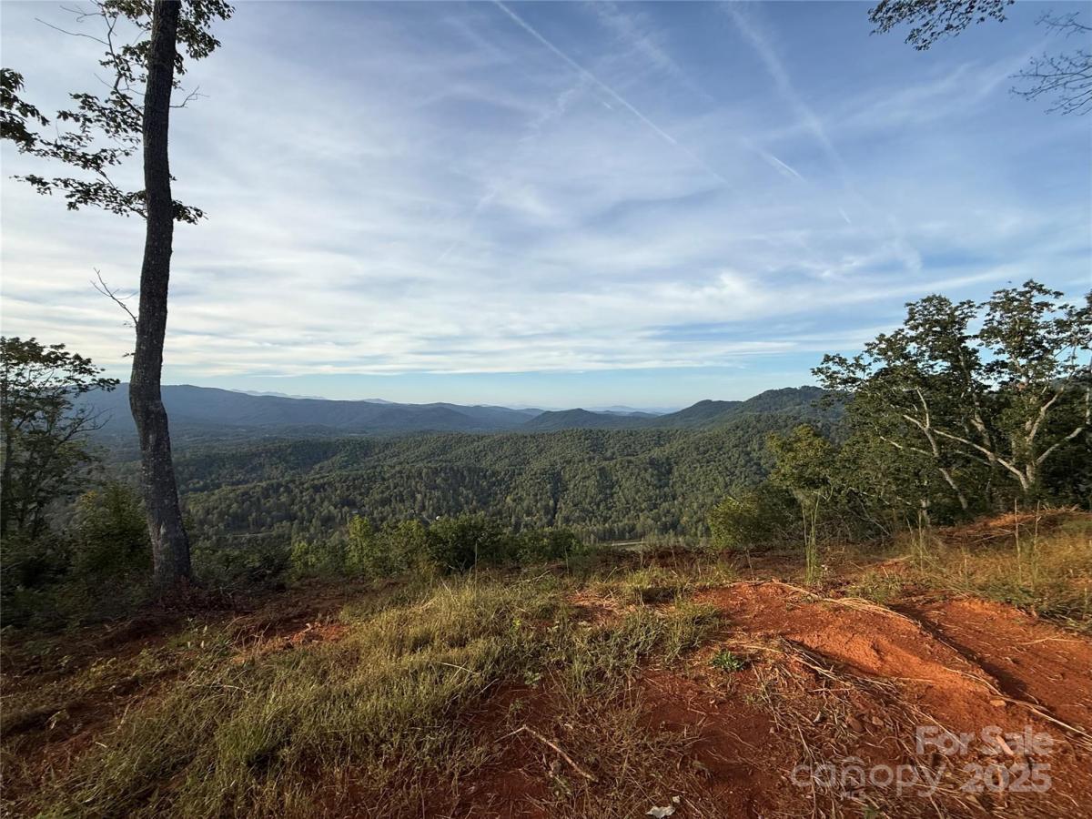 MLS #CAR4089945 image #0