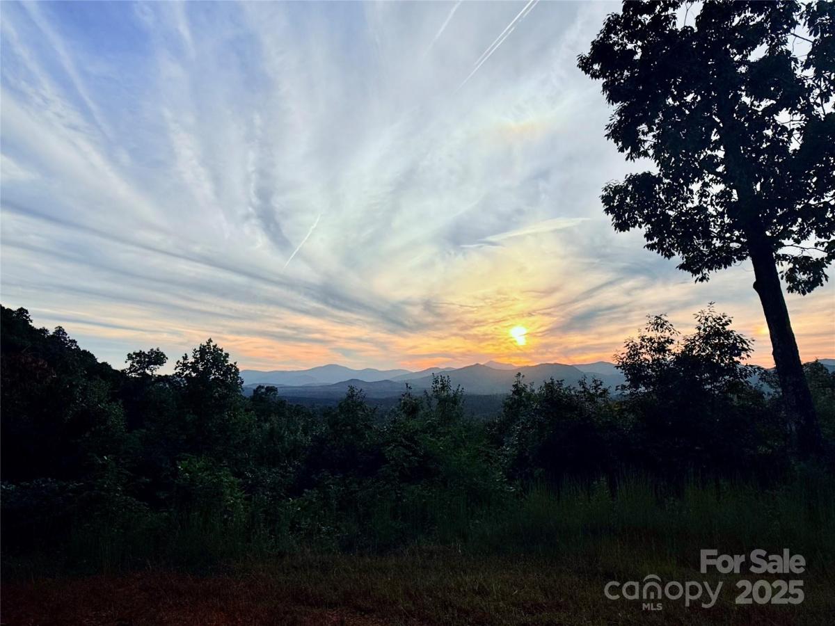 MLS #CAR4089948 image #0