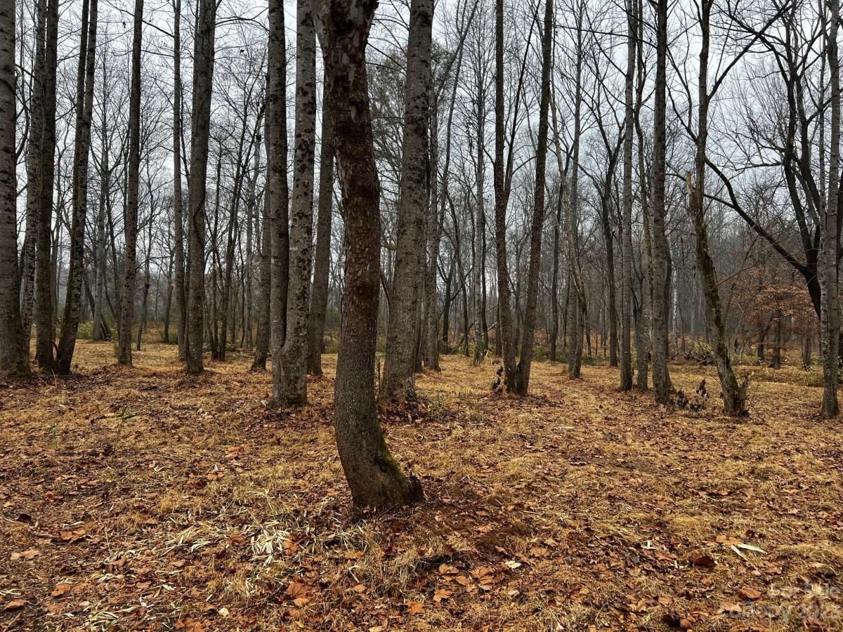 MLS #CAR4091428 image #10