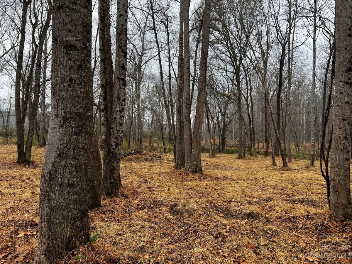 MLS #CAR4091428 image #12