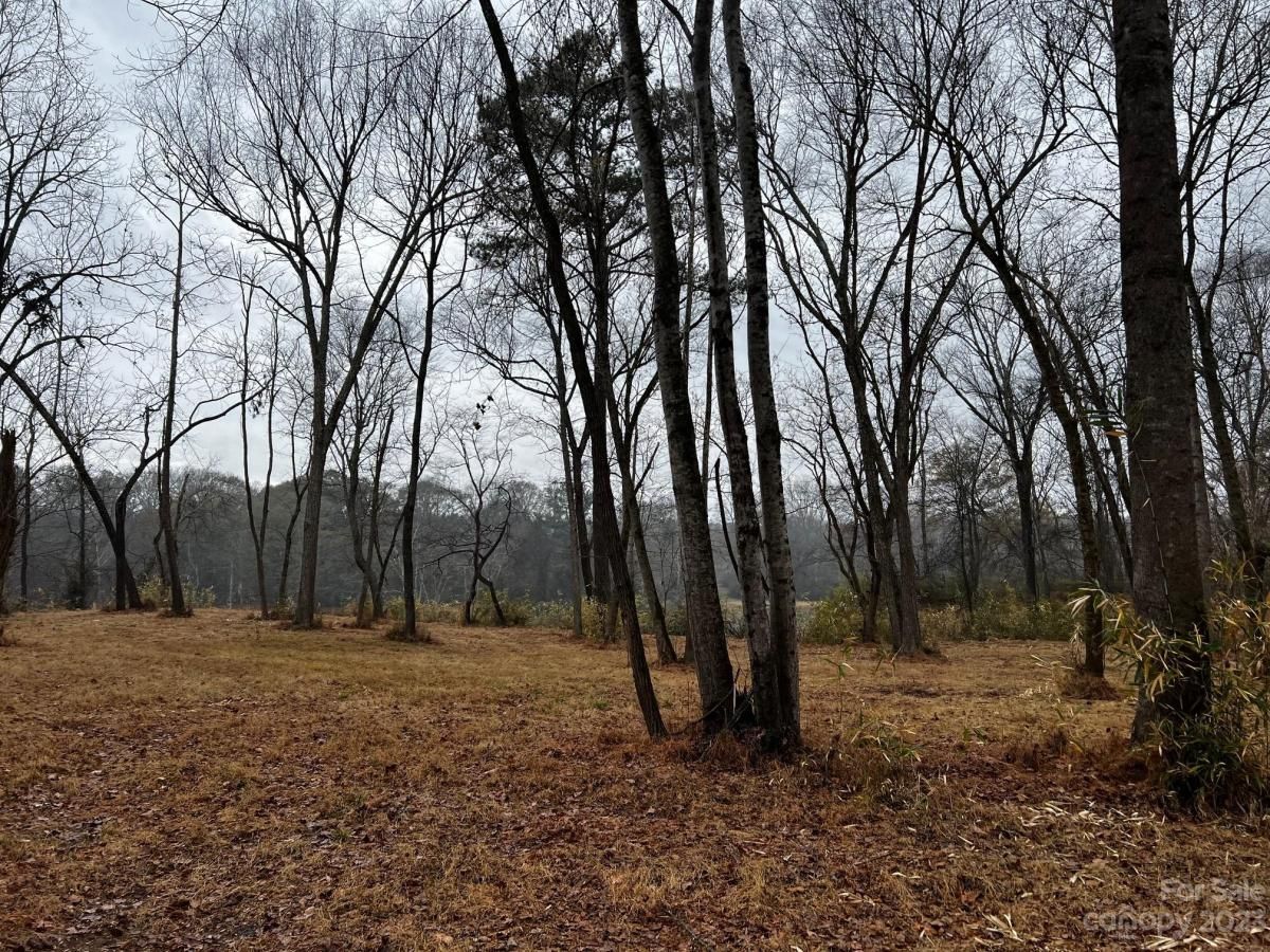 MLS #CAR4091428 image #13