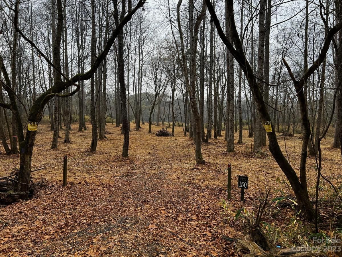 MLS #CAR4091428 image #4