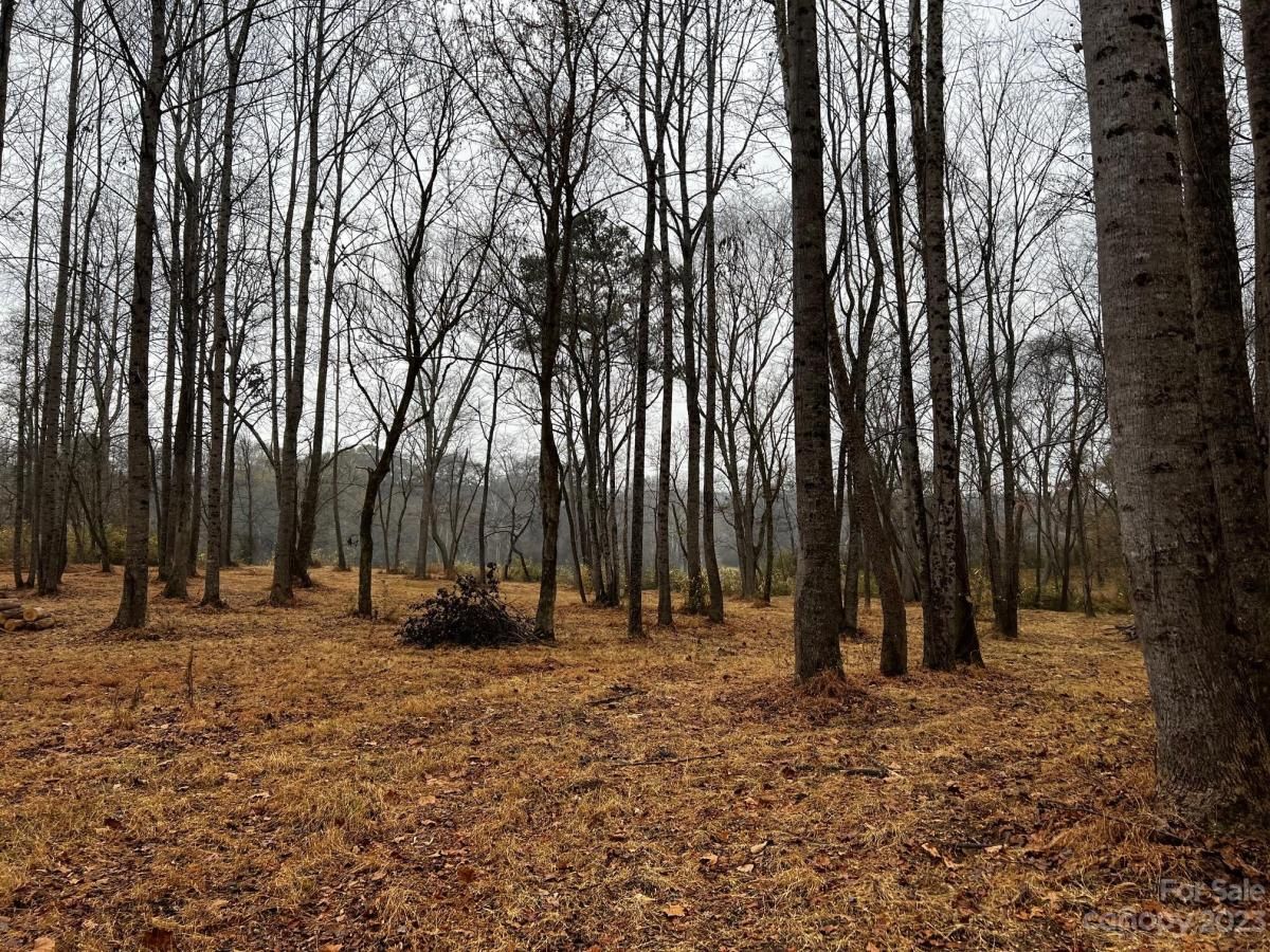 MLS #CAR4091428 image #7