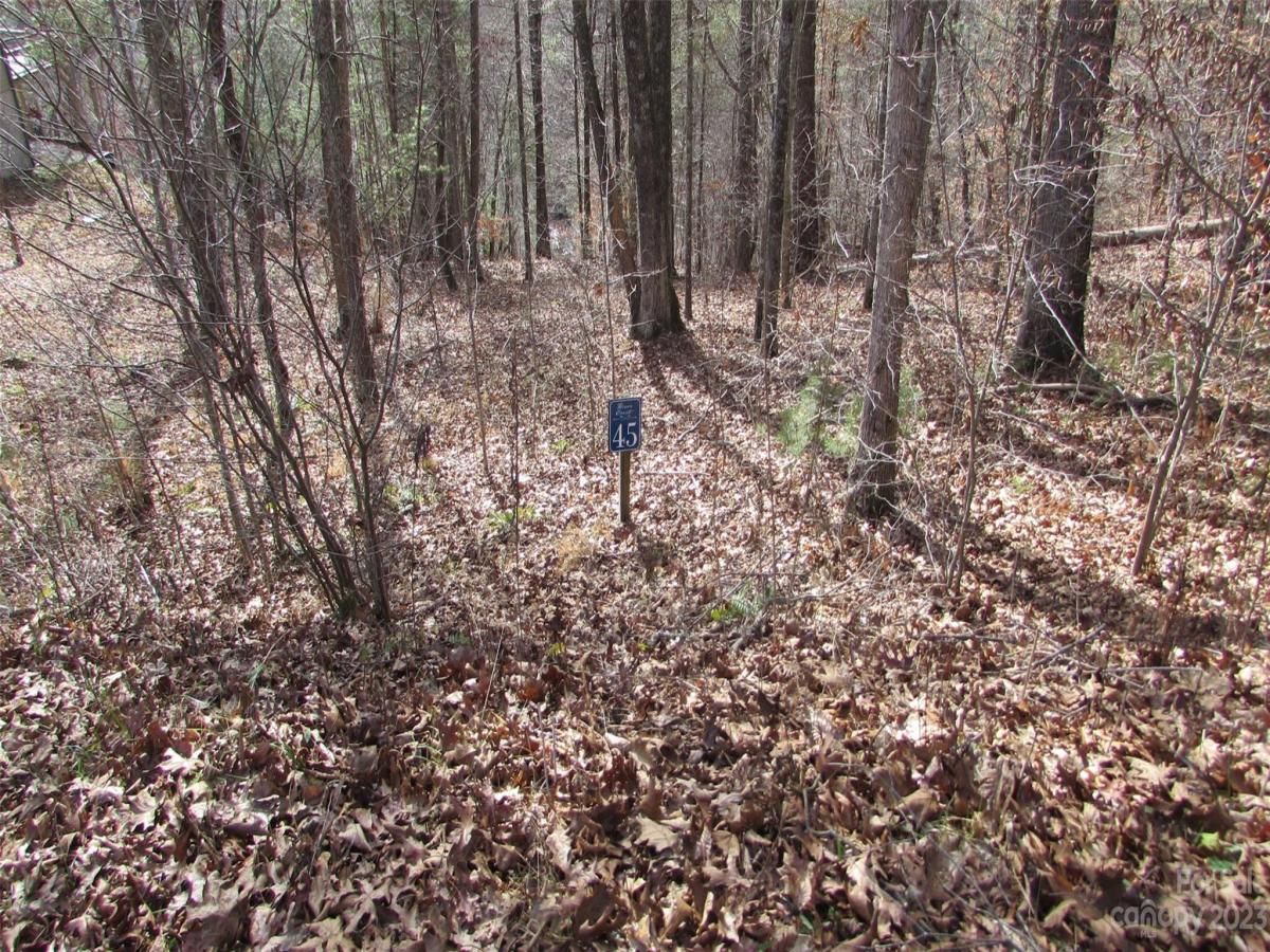 MLS #CAR4094191 image #0