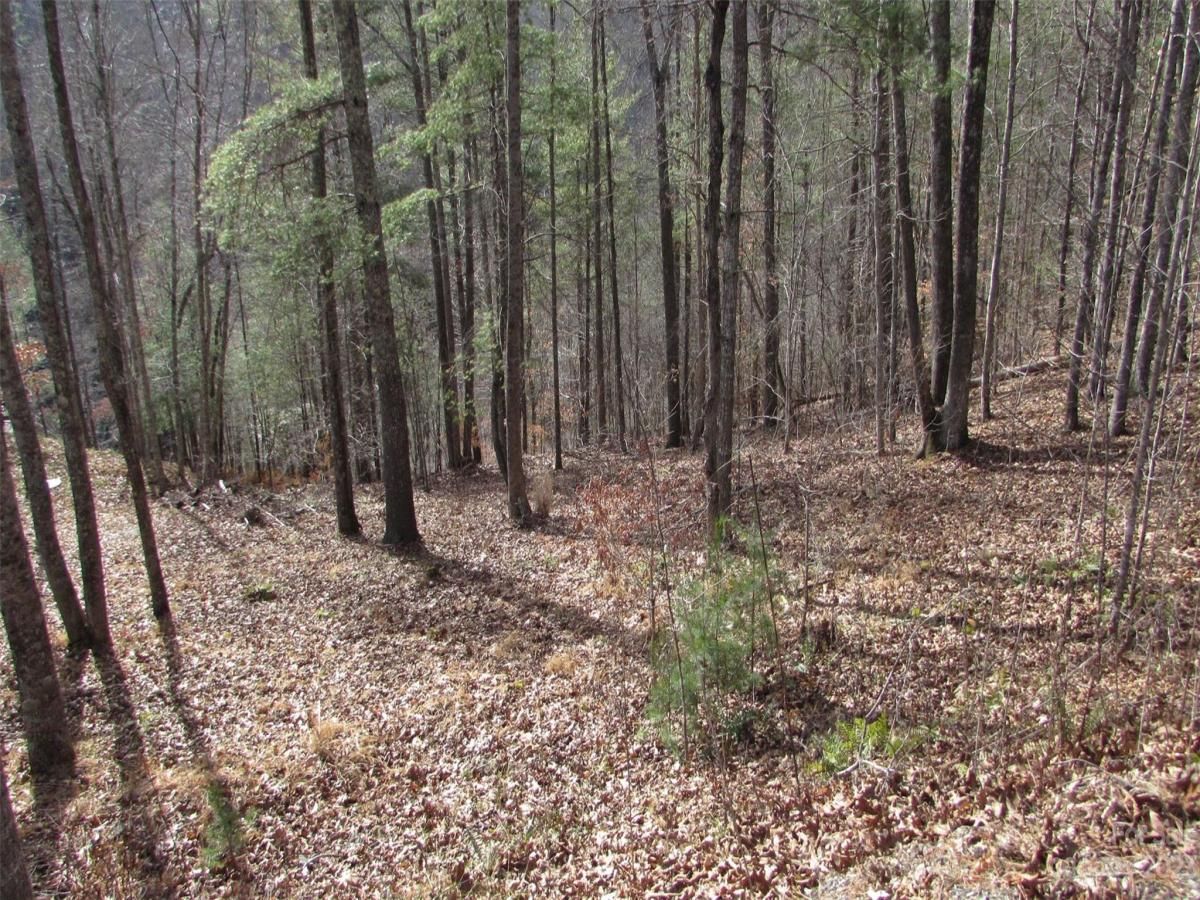 MLS #CAR4094191 image #1