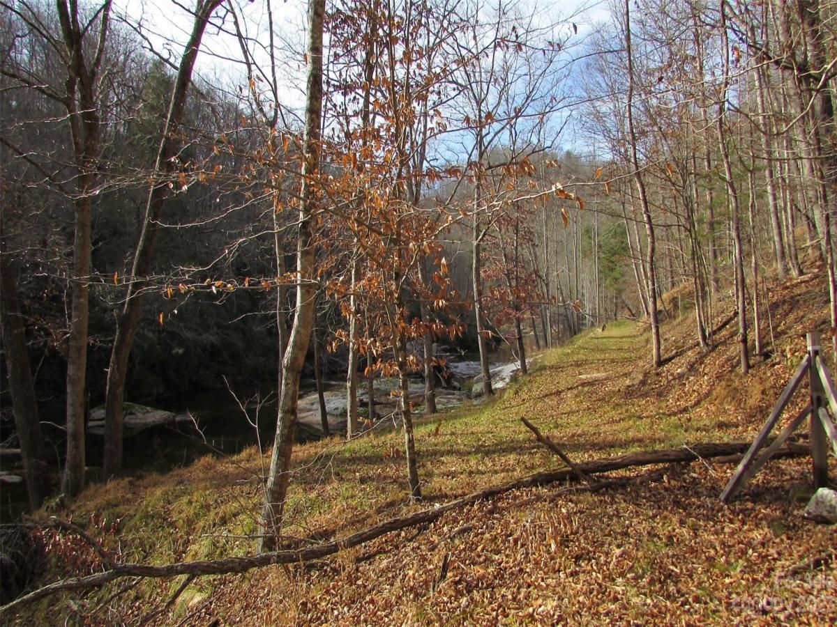 MLS #CAR4094191 image #11