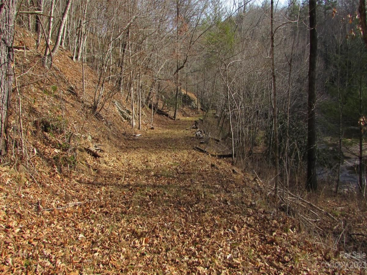 MLS #CAR4094191 image #15