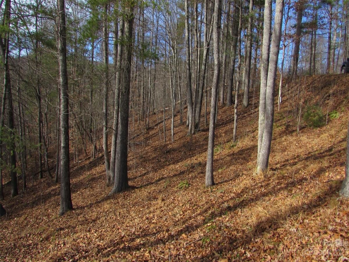 MLS #CAR4094191 image #2