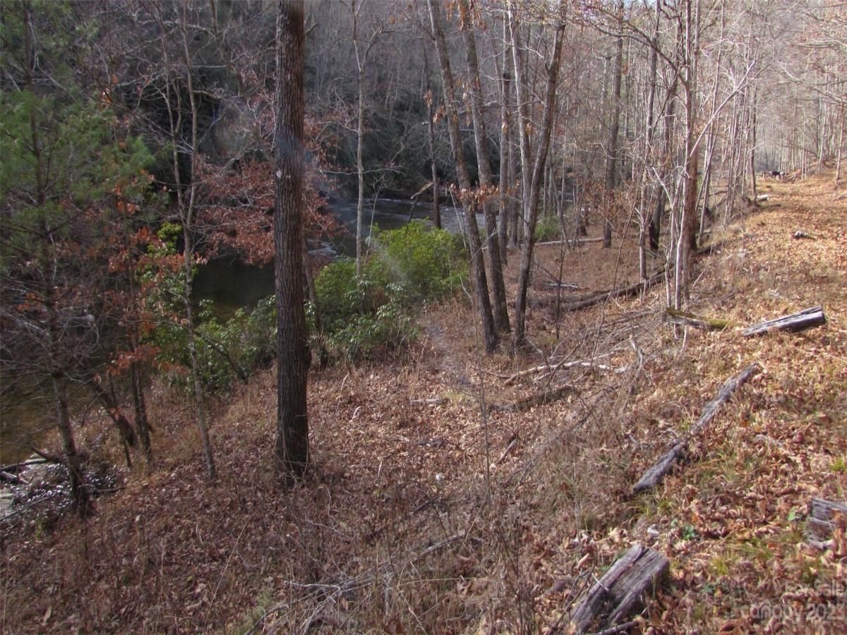 MLS #CAR4094191 image #21