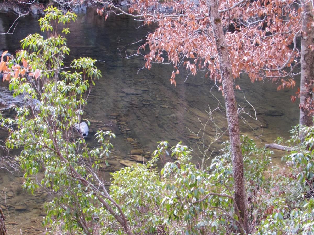 MLS #CAR4094191 image #23