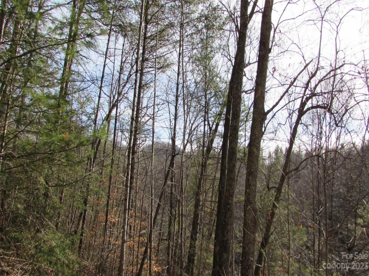 MLS #CAR4094191 image #27