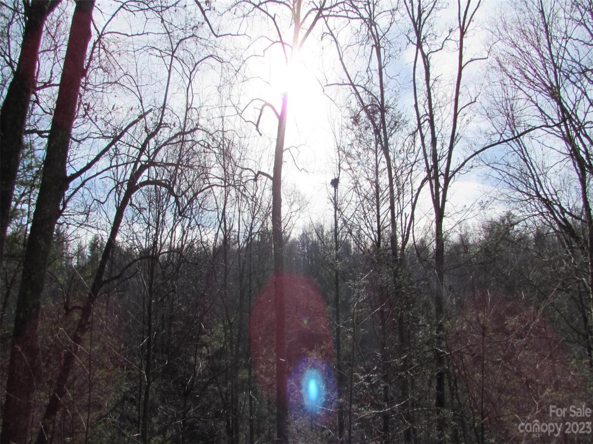 MLS #CAR4094191 image #28