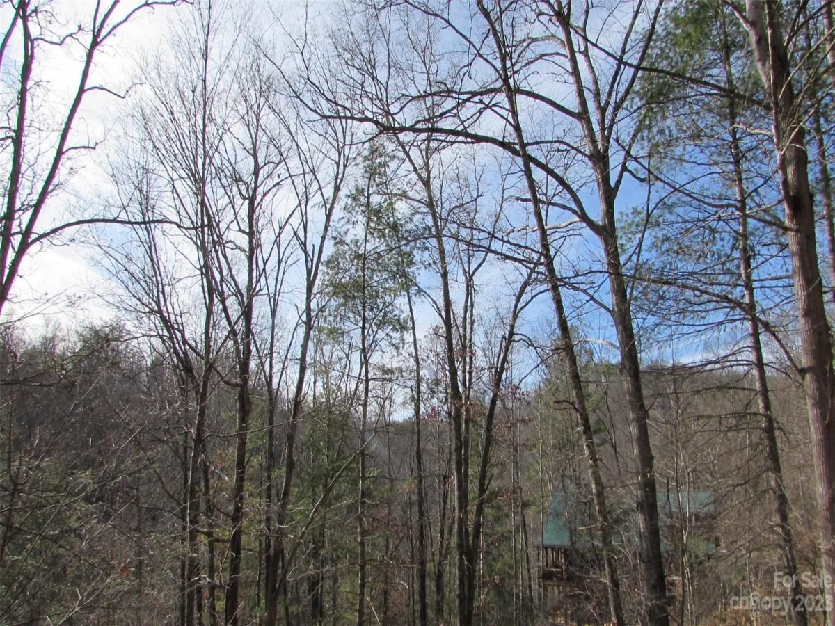 MLS #CAR4094191 image #29