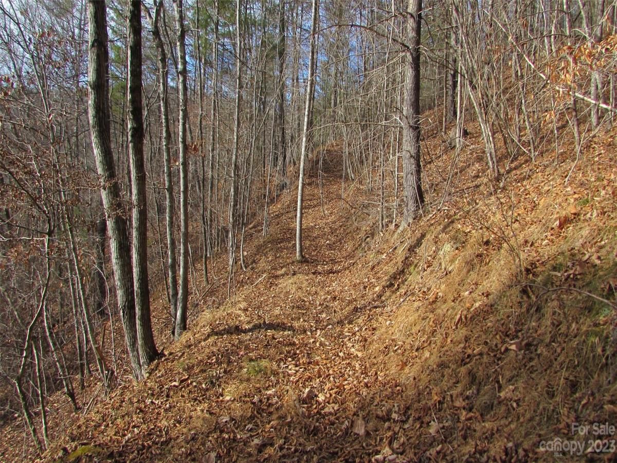 MLS #CAR4094191 image #4