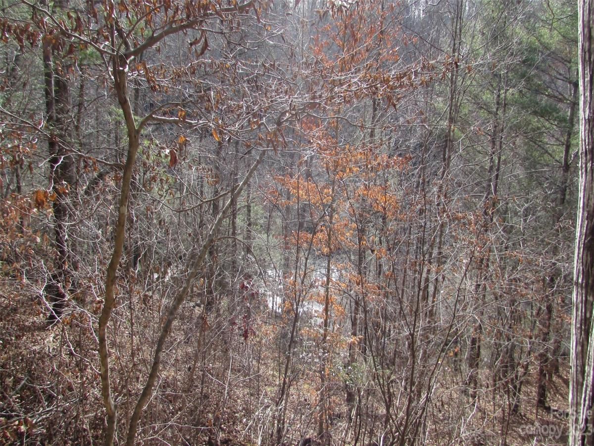 MLS #CAR4094191 image #5