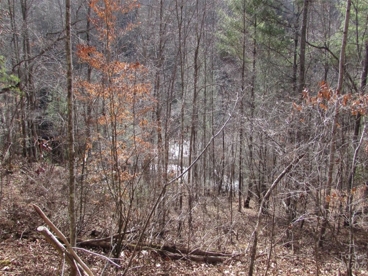 MLS #CAR4094191 image #6