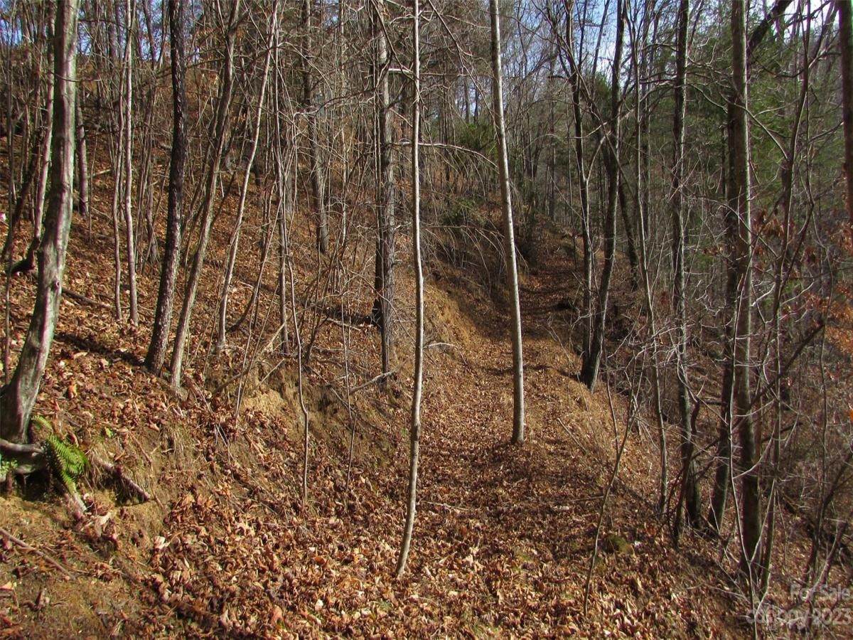 MLS #CAR4094191 image #7