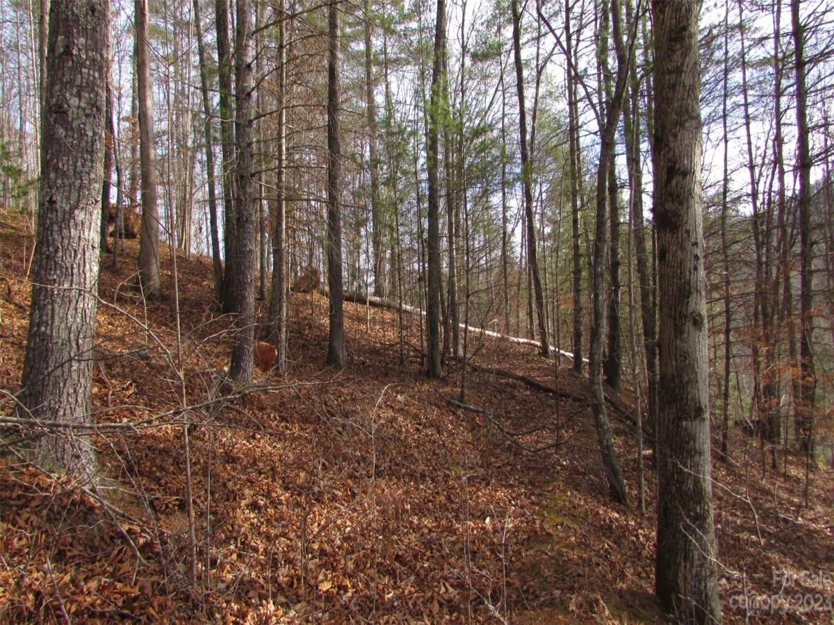 MLS #CAR4094191 image #8