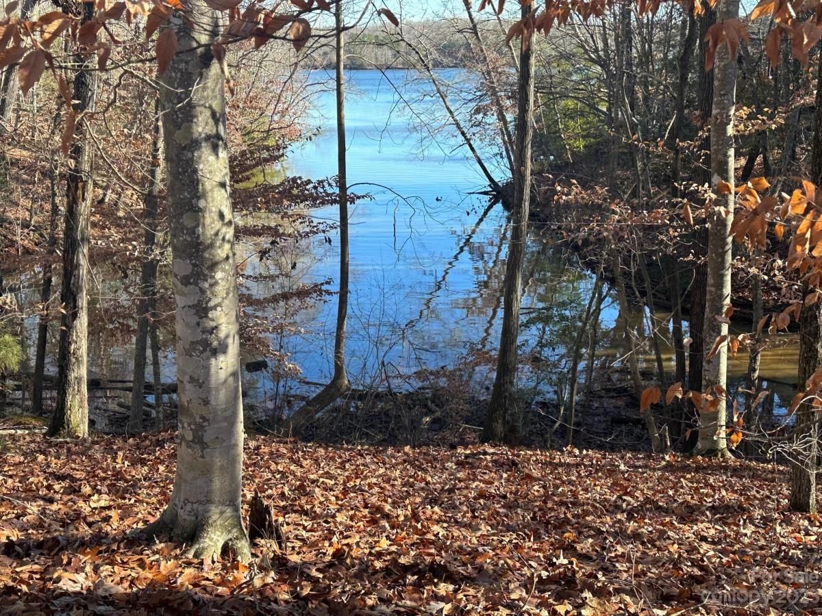 MLS #CAR4094972 image #2