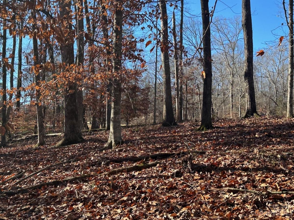 MLS #CAR4094972 image #3