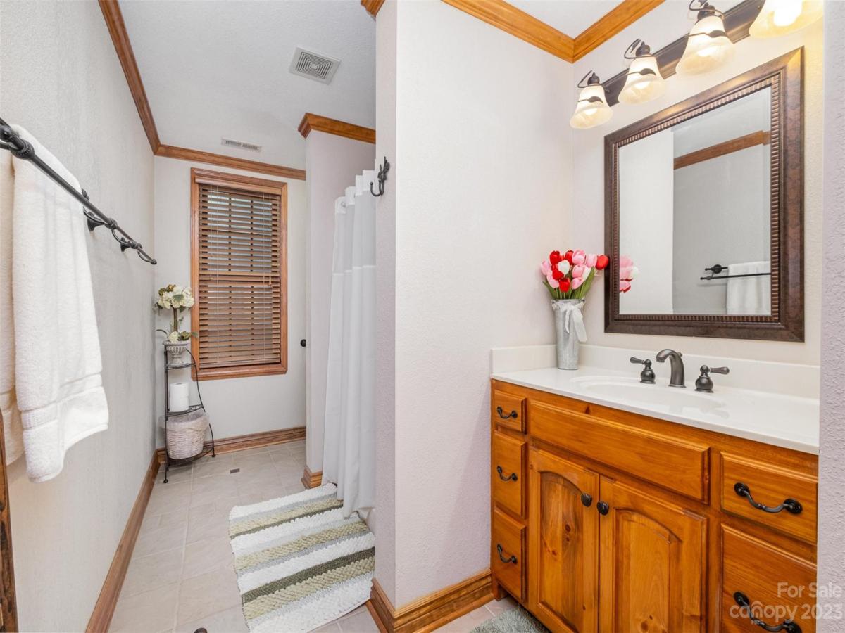 MLS #CAR4095309 image #23