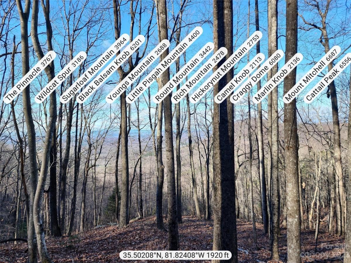 MLS #CAR4096479 image #1