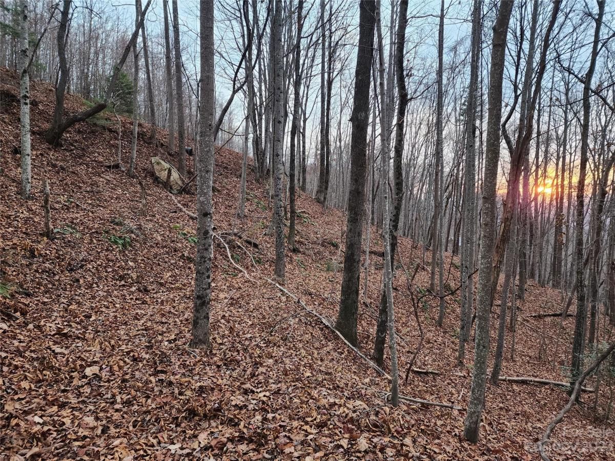 MLS #CAR4096479 image #10