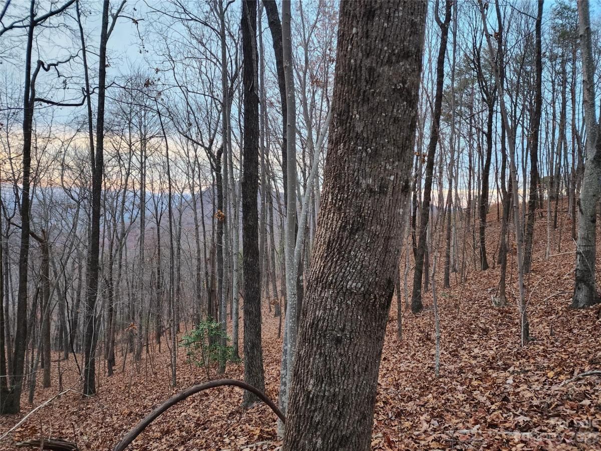 MLS #CAR4096479 image #11