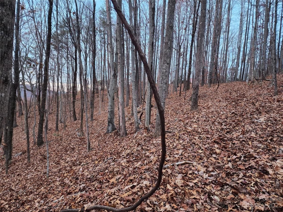 MLS #CAR4096479 image #12