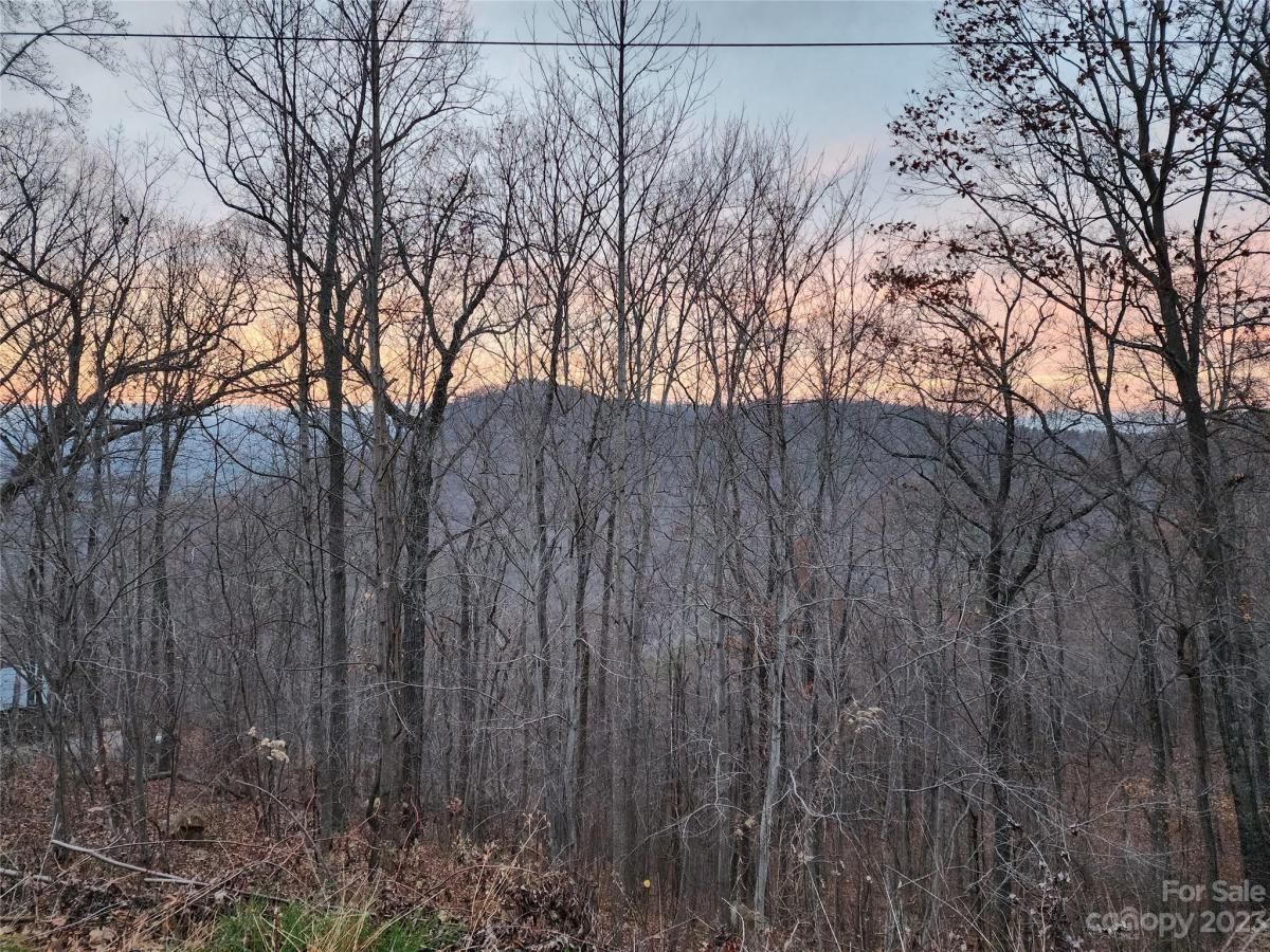 MLS #CAR4096479 image #13