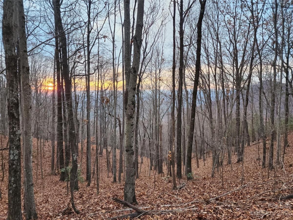 MLS #CAR4096479 image #2